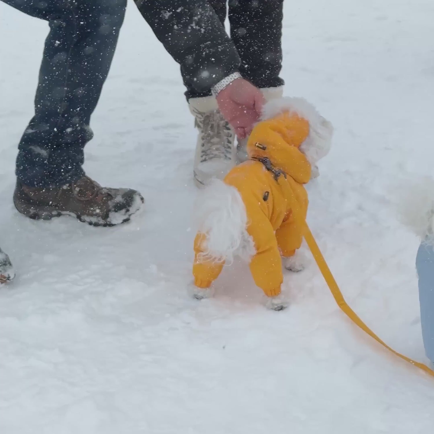 [SO-OW433] SSOOOK Identity Snow Coverall (Half Cover, For Unisex)