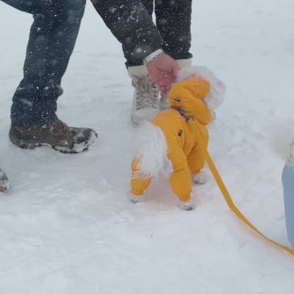 [SO-OW433] SSOOOK Identity Snow Coverall (Half Cover, For Unisex)