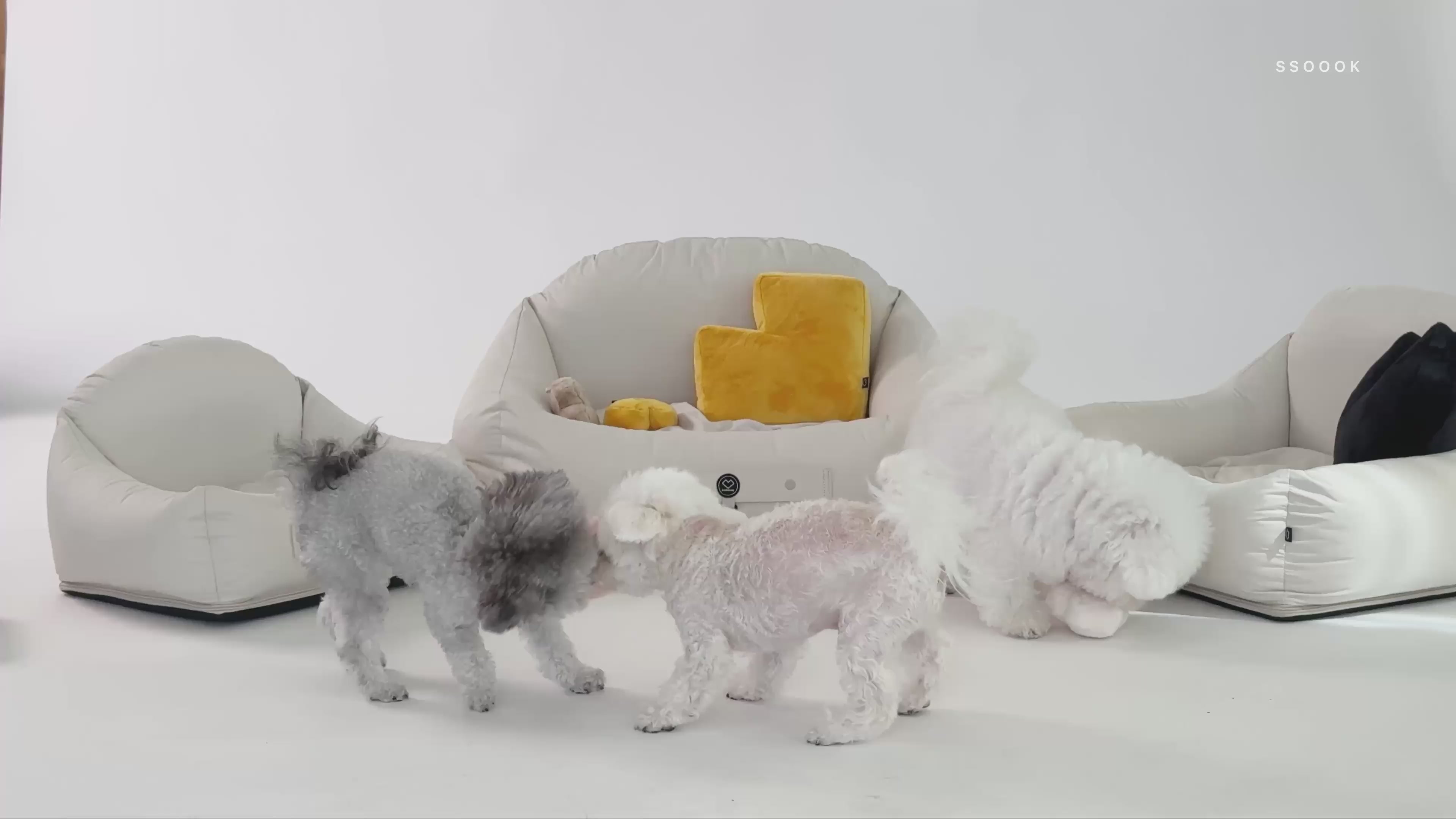 [SO-BD401] SSOOOK Sofa Bed