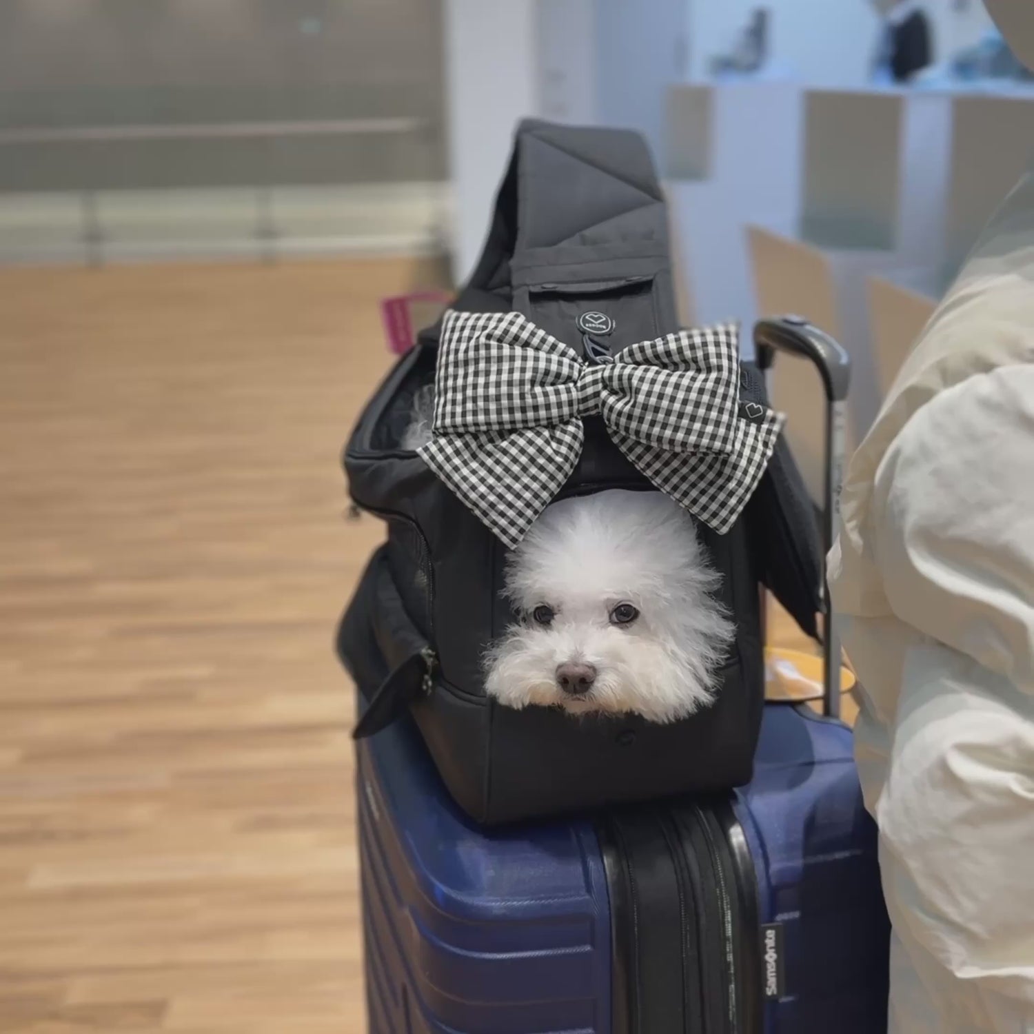 SSOOOK SLING BAG (V.Smart, Right) [SO-CA103]