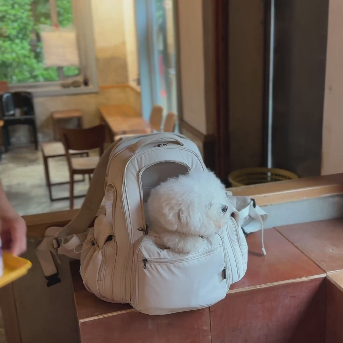 [SO-CA431] SSOOOK Backpack Carseat