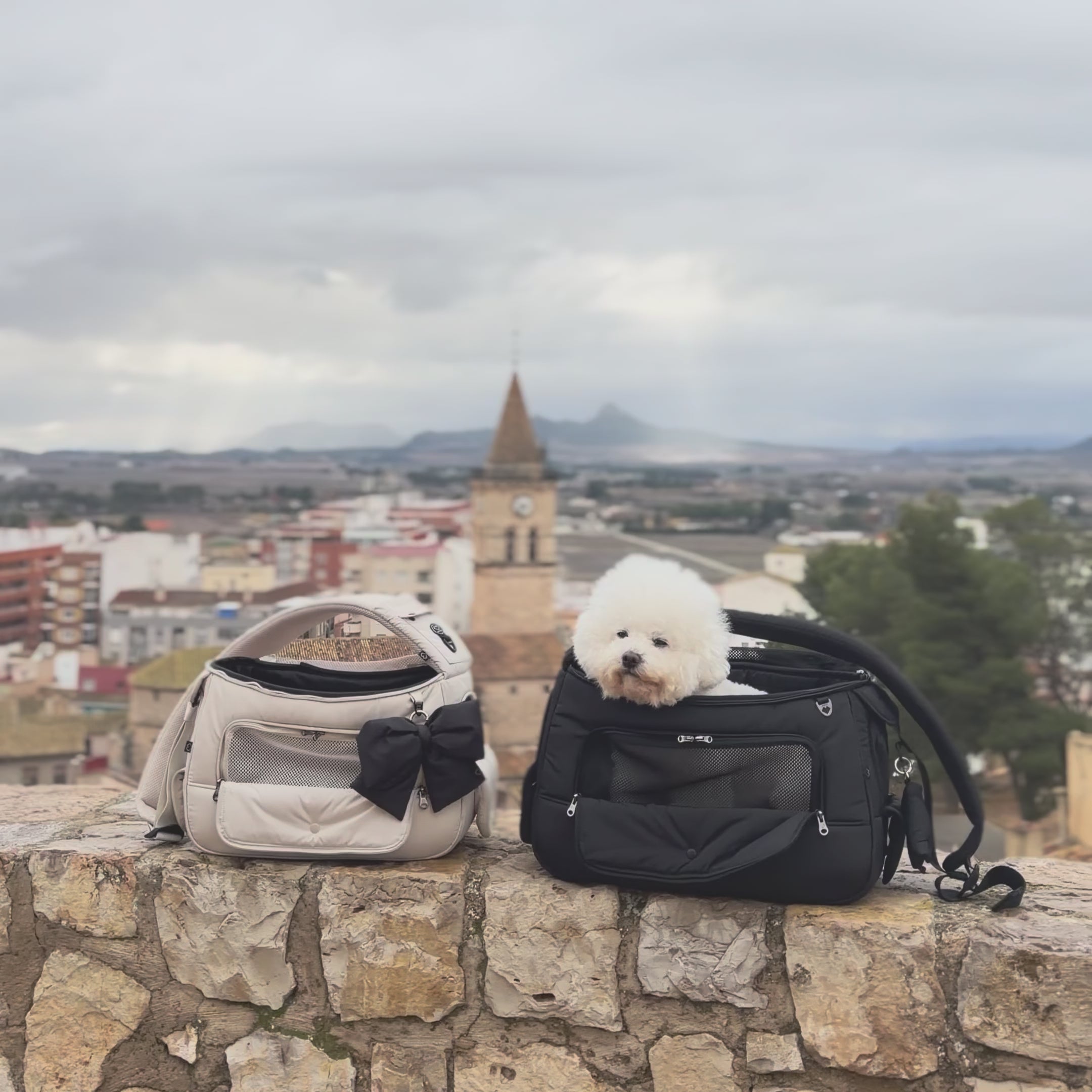 SO-CA102] SSOOOK View Sling Bag (Ver. Left)
