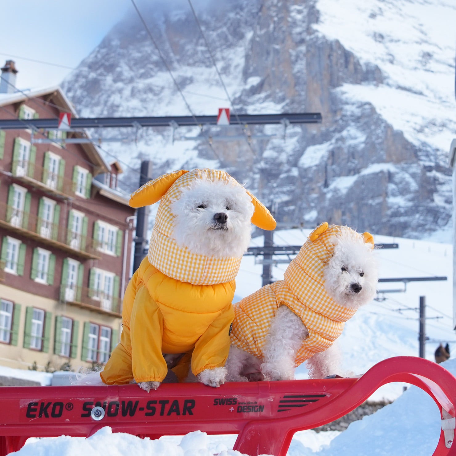 [SO-OW670] SSOOOK Goosefeel Padded Vest 3 (S ~ 7XL)