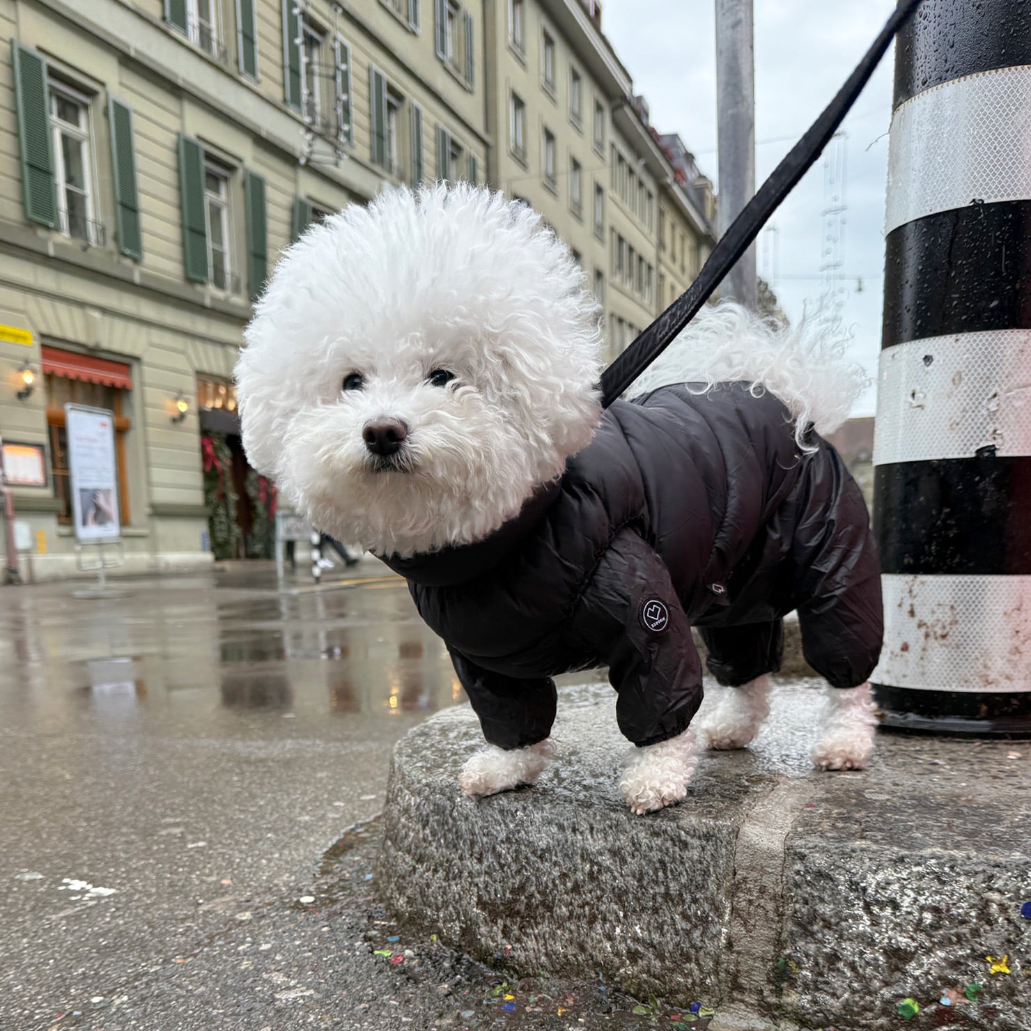 [SO-OW670] SSOOOK Goosefeel Padded Vest 3 (S ~ 7XL)