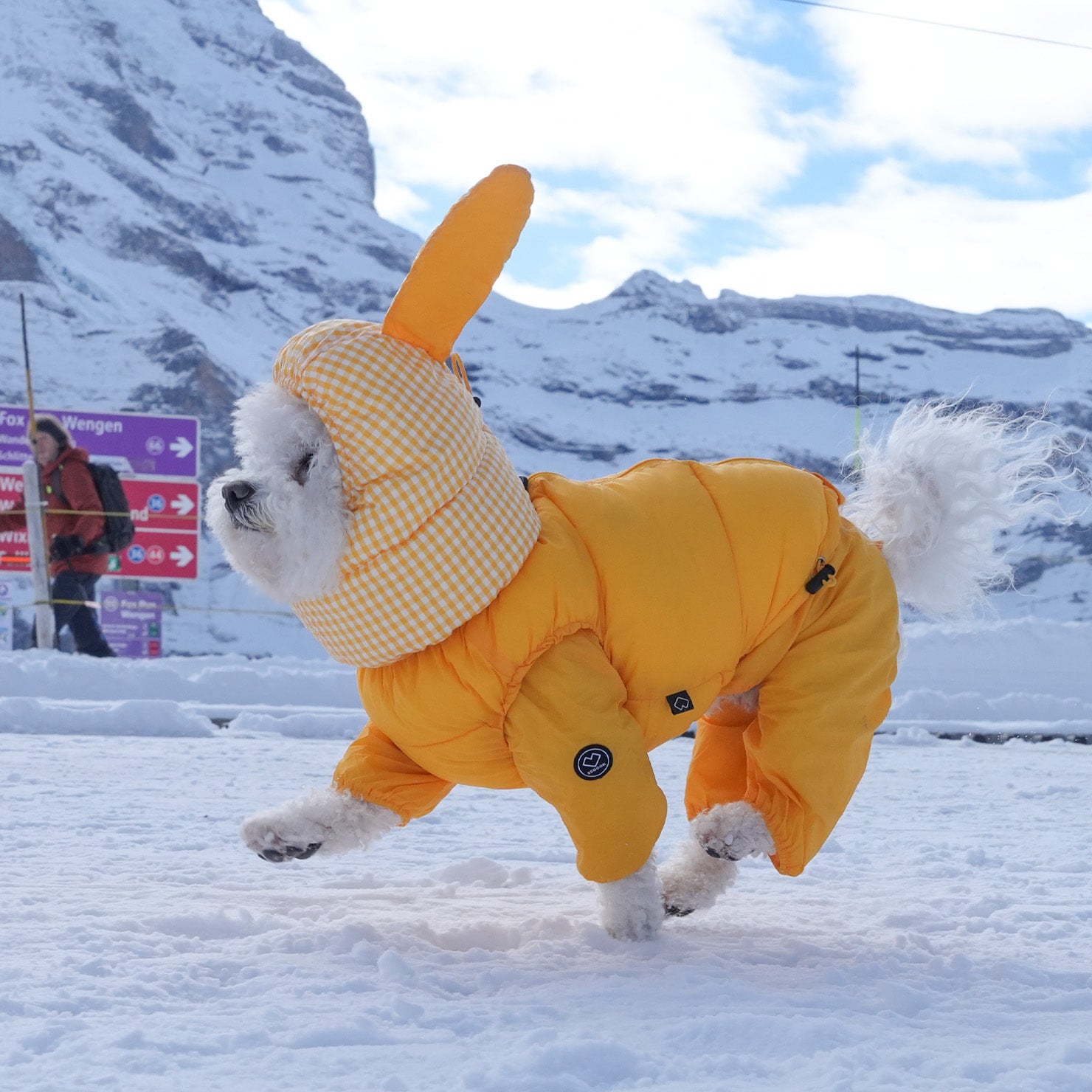 [SO-OW670] SSOOOK Goosefeel Padded Vest 3 (S ~ 7XL)